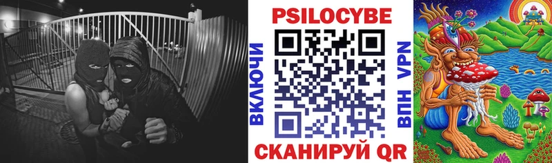 ссылка на мегу маркетплейс  Балей  Псилоцибиновые грибы ЛСД 
