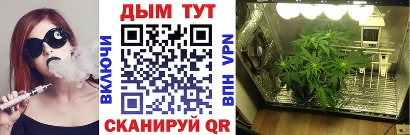 наркошоп  Балей  Шишки марихуана планчик 
